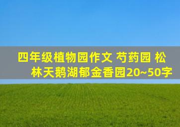 四年级植物园作文 芍药园 松林天鹅湖郁金香园20~50字